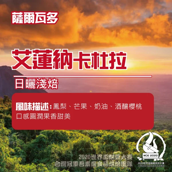 薩爾瓦多艾蓮納日曬卡度拉半磅